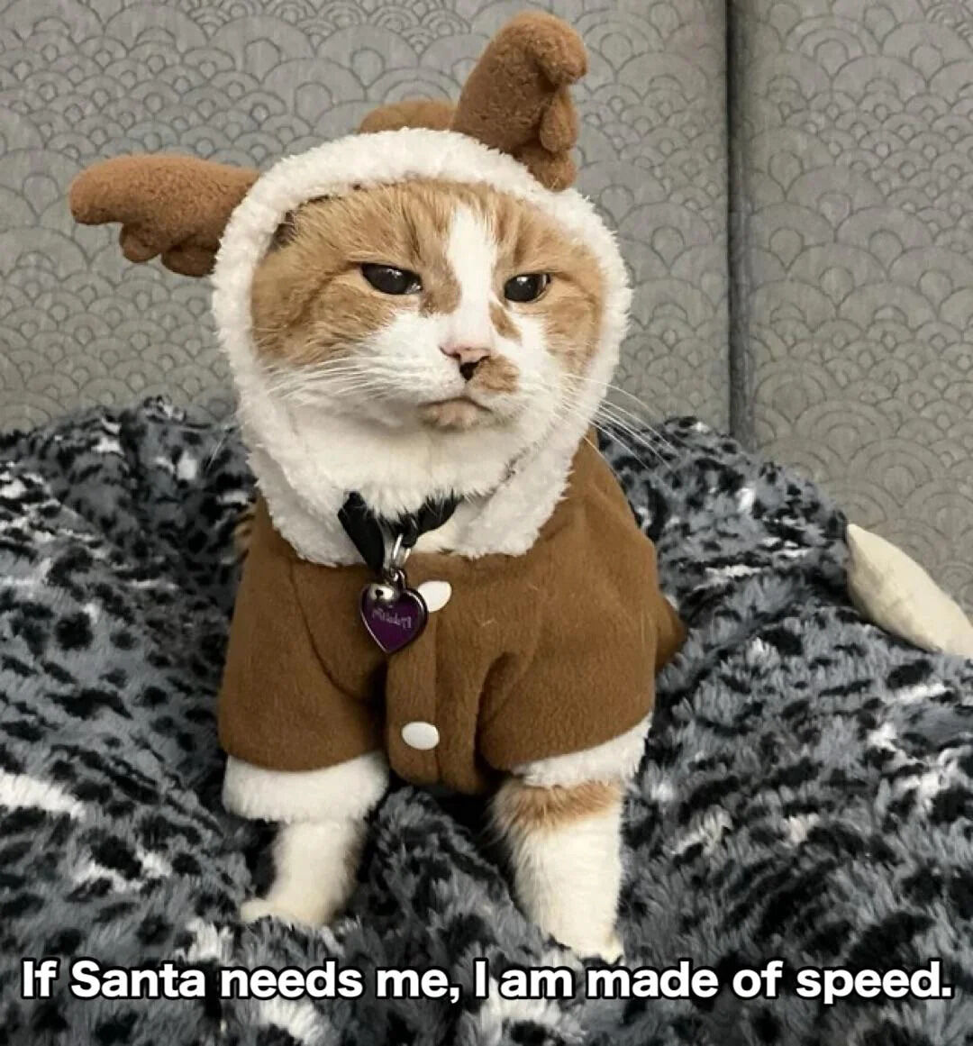 An orange and white cat wearing a brown reindeer costume with white fur trim and plush antlers, sitting on a black and white patterned blanket. The cat has a calm, slightly indifferent expression with half-closed eyes. At the bottom of the image, white text reads: 'If Santa needs me, I am made of speed.' The background features gray, patterned wallpaper, creating a cozy setting.