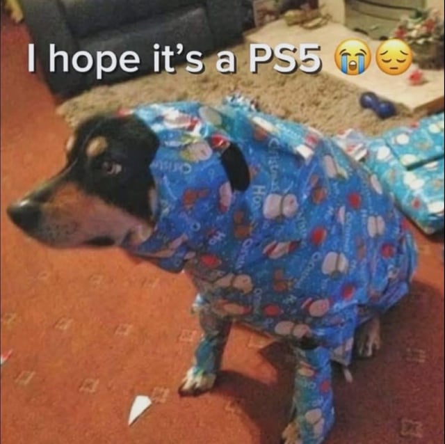 A real dog sits on a red carpet, wrapped in blue Christmas-themed wrapping paper adorned with festive patterns, including 'HO HO HO' text and holiday imagery. The dog has a resigned or unimpressed expression, as if reluctantly participating in a gift-themed joke. At the top of the image, overlaid text reads 'I hope it's a PS5 😭😔', humorously personifying the dog/wrapped 'gift' as hoping to contain a PS5 console, blending holiday gifting with gaming culture.