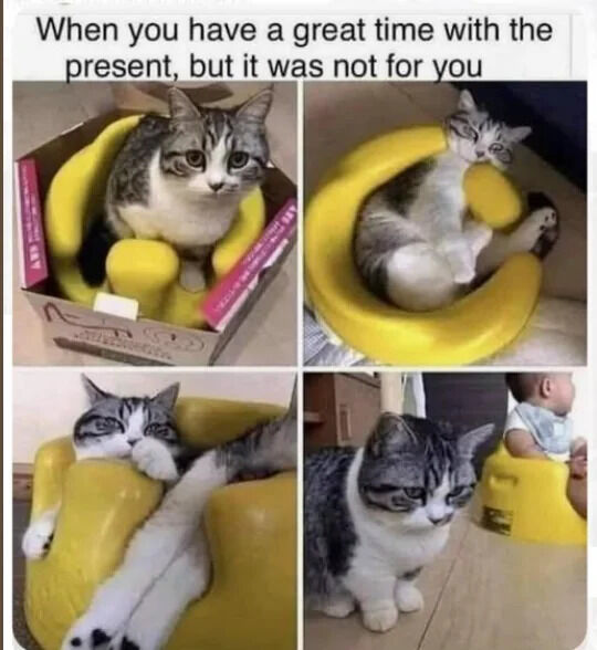 A four-panel meme featuring a gray and white cat interacting with a yellow baby seat, which is implied to be a gift intended for a baby. The top text reads 'When you have a great time with the present, but it was not for you.' Panel 1: The cat sits inside the yellow baby seat, which is still in its box, looking content. Panel 2: The cat lies relaxed in the seat with its paws crossed. Panel 3: The cat stretches out comfortably in the seat. Panel 4: A baby sits next to the seat while the cat looks at the baby with a slightly annoyed expression, highlighting the cat's realization that the seat was not meant for it.