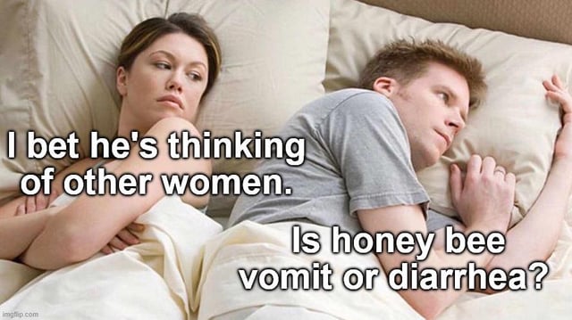 This is a variation of the popular 'I bet he's thinking of other women' meme template. It features a couple lying next to each other in bed. The woman on the left has a suspicious, annoyed expression, looking sideways at her male partner, with overlaid text reading 'I bet he's thinking of other women.' The man on the right is staring off into space with a distant, thoughtful expression, with his internal thought text reading 'Is honey bee vomit or diarrhea?' The joke derives from the stark contrast between the woman's serious assumption that her partner is being unfaithful, and the absurd, random trivial question he is actually overthinking. The title references the implied punchline that regardless of which honey is, it remains a popular, long-lasting food product that never spoils easily.