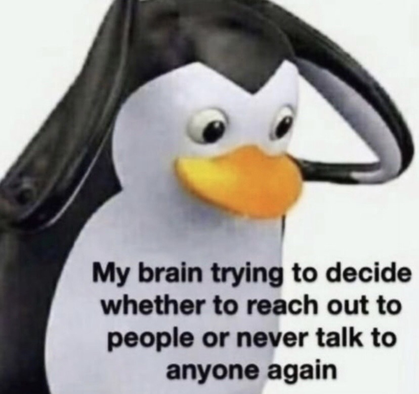 This meme features a 3D animated Pingu penguin character holding both of its flippers to the sides of its head with a wide-eyed, stressed, confused expression. Overlaid on the lower half of the image is text that reads 'My brain trying to decide whether to reach out to people or never talk to anyone again', humorously capturing the relatable conflicting experience many people have of alternating between wanting to connect with others and wanting to avoid all social interaction, often tied to social anxiety.