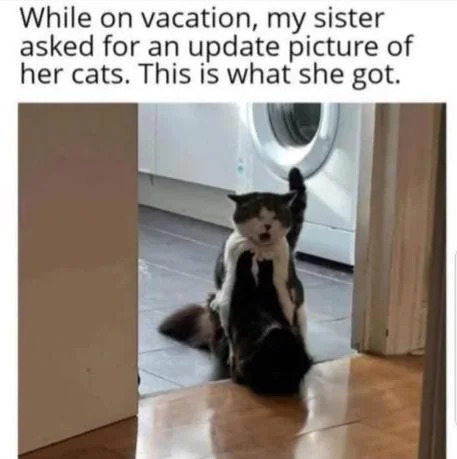A wholesome meme featuring a photograph of two cats with a caption above. The caption states that the poster's sister, while on vacation, requested an update picture of her cats, and the image below is the result. The photograph shows two cats in a domestic setting: one cat is sitting on a wooden floor, and the other is standing on top of it, with its front paws wrapped around the lower cat, creating an endearing 'hugging' appearance. A white laundry machine is visible in the background, indicating a typical home environment. The image conveys a heartwarming and cute moment, aligning with the 'wholesome' theme.
