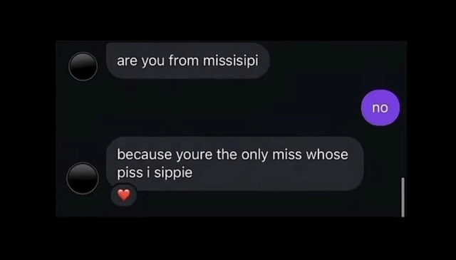 This is a dark mode mobile chat screenshot showing a cringey, vulgar pickup line exchange. One chat participant first asks the recipient if they are from Mississippi, misspelled as 'missisipi'. The recipient replies with a short 'no'. The first participant then delivers a pun-based crass line playing on the pronunciation of Mississippi: 'because youre the only miss whose piss i sippie', with a red heart reaction added under this final message. The humor comes from the unexpected, shockingly vulgar twist on what seemed like a standard cheesy pickup line.