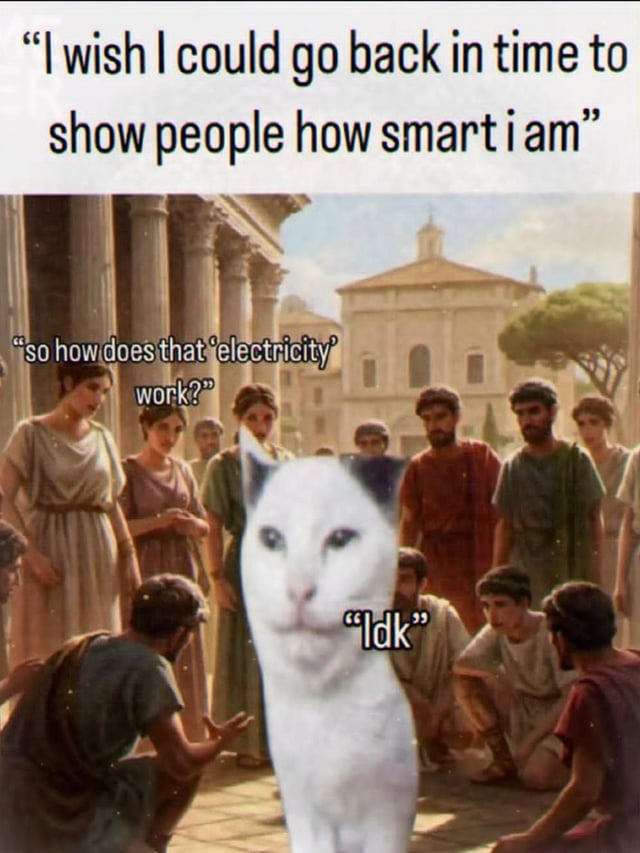This meme depicts a sarcastic take on the common fantasy of traveling back in time to impress people in past eras with modern knowledge. The top text reads "I wish I could go back in time to show people how smart i am". The visual shows a group of ancient Roman civilians gathered around the famous confused Smudge the Cat, who is positioned as the time traveler. One of the Roman people asks "so how does that 'electricity' work?", to which the cat replies "Idk" (I don't know). The joke relies on the relatable fact that most modern people benefit from modern technology but do not actually know how to explain or rebuild foundational inventions like electricity from scratch, so their supposed intellectual superiority over people from the past is entirely unfounded.