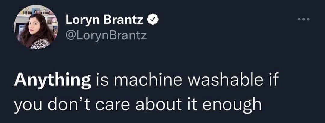 This image is a screenshot of a public tweet from the X (formerly Twitter) platform. It displays the profile of verified user Loryn Brantz, including her headshot profile picture, display name, verified checkmark, and handle @LorynBrantz, above the main tweet text which is a humorous, sarcastic observation: 'Anything is machine washable if you don't care about it enough'. The joke subverts standard laundry care label instructions, pointing out that people can choose to wash any item in a washing machine if they are unconcerned about the item potentially being damaged or destroyed in the process.