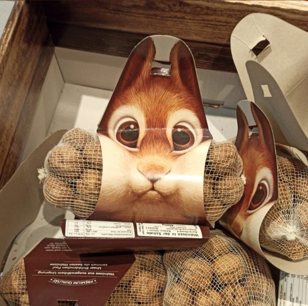 The image displays packaged whole walnuts arranged in a wooden display box. Each package features a cardboard header with an illustration of a wide-eyed, cute cartoon squirrel, with net bags of brown walnuts tucked on either side of the squirrel face. This layout creates a comedic, unintended optical illusion that makes the squirrel appear to have large, muscular, nut-filled arms, as if it is flexing or holding a large object. German-language product labeling, including premium quality claims, product descriptions, and nutrition information, is printed on the lower section of the packaging. Multiple identical packages are visible in the shot, with the front package centering the buff squirrel illusion perfectly.