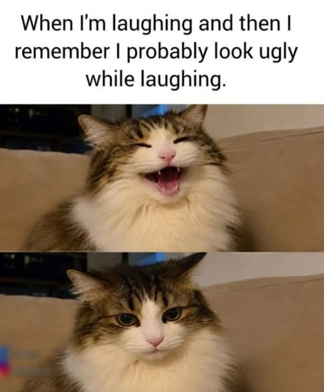 This is a two-panel relatable reaction meme. The top of the meme has text that reads: 'When I'm laughing and then I remember I probably look ugly while laughing.' The first panel features a fluffy brown and white tabby cat sitting on a beige couch, with its eyes crinkled shut and mouth wide open, appearing to laugh joyfully. The second panel shows the same cat in the same position, now with a blank, neutral, slightly sullen expression staring straight ahead with no smile, depicting the immediate mood shift when the sudden self-conscious realisation occurs.
