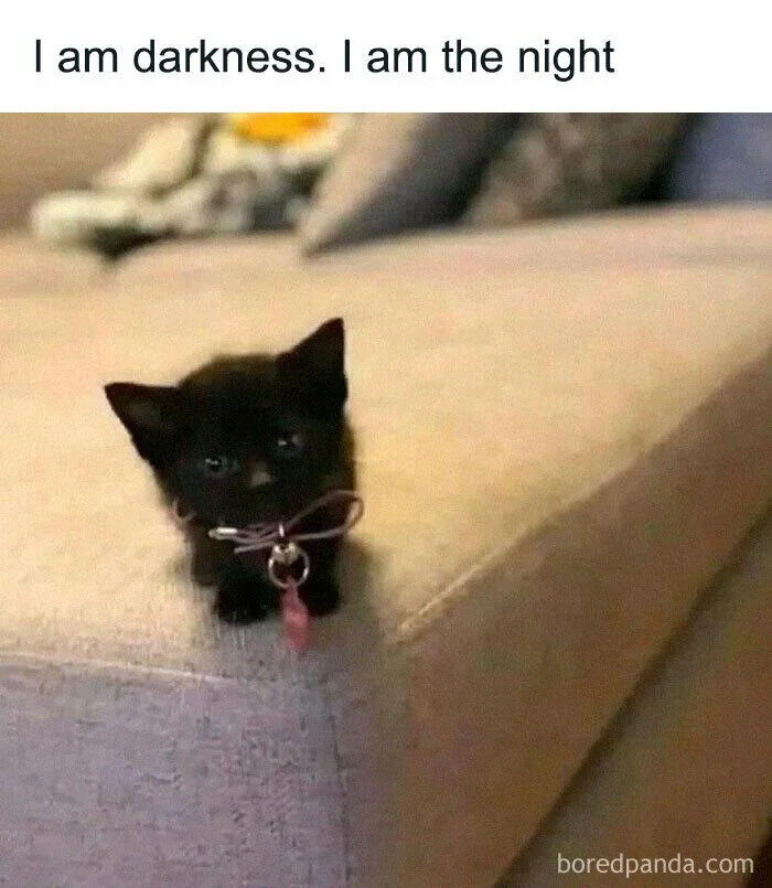 The image features a small black kitten with a pink collar and metal ring sitting on a beige couch. At the top of the image, there is bold text that reads 'I am darkness. I am the night,' creating a humorous contrast between the kitten's cute appearance and the dramatic, imposing statement. The background shows a blurred living room setting with pillows and furniture. A watermark 'boredpanda.com' is visible in the bottom right corner.
