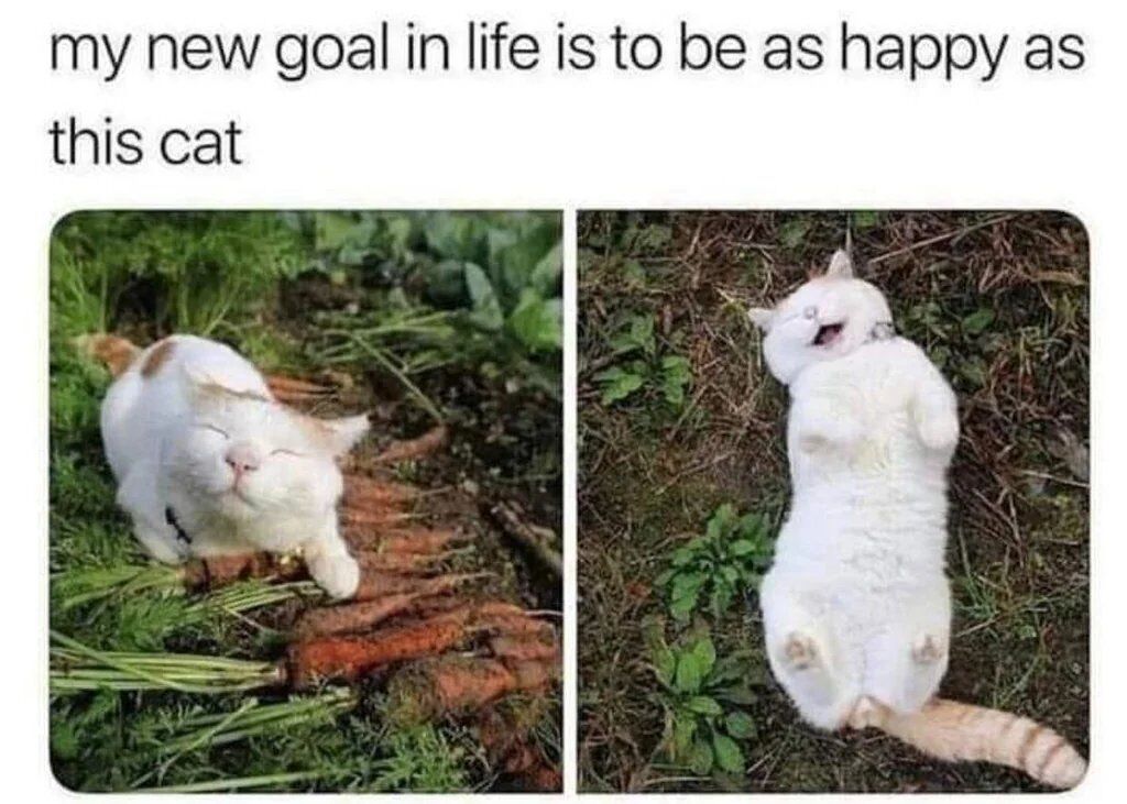 This two-panel wholesome meme opens with top text reading 'my new goal in life is to be as happy as this cat'. The left panel shows a white and orange domestic cat lying comfortably on a pile of freshly harvested carrots in a green garden, eyes closed in total relaxed satisfaction. The right panel features the same cat lying flat on its back on grassy, twig-strewn ground, mouth open in an expression of pure unadulterated joy, belly fully exposed as it appears to laugh or grin in total comfort. The meme conveys a relatable desire for simple, uncomplicated, genuine happiness.