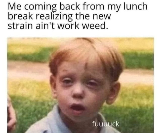 A meme featuring a young child with a dazed, confused expression standing outdoors on a grassy background. The top text reads, "Me coming back from my lunch break realizing the new strain ain't work weed," and the bottom text overlaid on the child is "fuuuuck". The humor lies in the child's disoriented demeanor humorously representing the feeling of disappointment or confusion when a new type of marijuana (referred to as a "strain") fails to produce the desired effect, creating a relatable joke for those familiar with cannabis culture.
