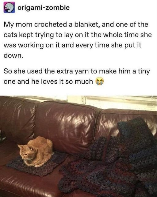 The post includes a text caption above a photograph. The caption explains that the poster's mother was crocheting a large blanket, and their orange cat repeatedly tried to lie on the blanket while she was working on it, every time she set it down. She used leftover yarn to make a miniature matching blanket just for the cat, and he is very happy with the gift, accompanied by a crying happy face emoji. The photograph shows the orange tabby cat curled up contentedly on the small dark crocheted blanket placed on a brown leather couch, with the full-sized matching crocheted blanket positioned next to it on the couch.