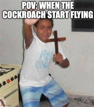 This humorous meme features a photo of a young person indoors, leaning back slightly while holding a wooden Christian cross out defensively in one hand and raising their other hand as if warding off an approaching threat, with a visibly distressed and frightened expression. Large white text overlaid at the top of the image reads 'POV: WHEN THE COCKROACH START FLYING'. The meme jokes about the common, widespread feeling of extreme helplessness and fear many people experience when encountering a flying cockroach, to the point of reaching for divine protection to fend off the pest.