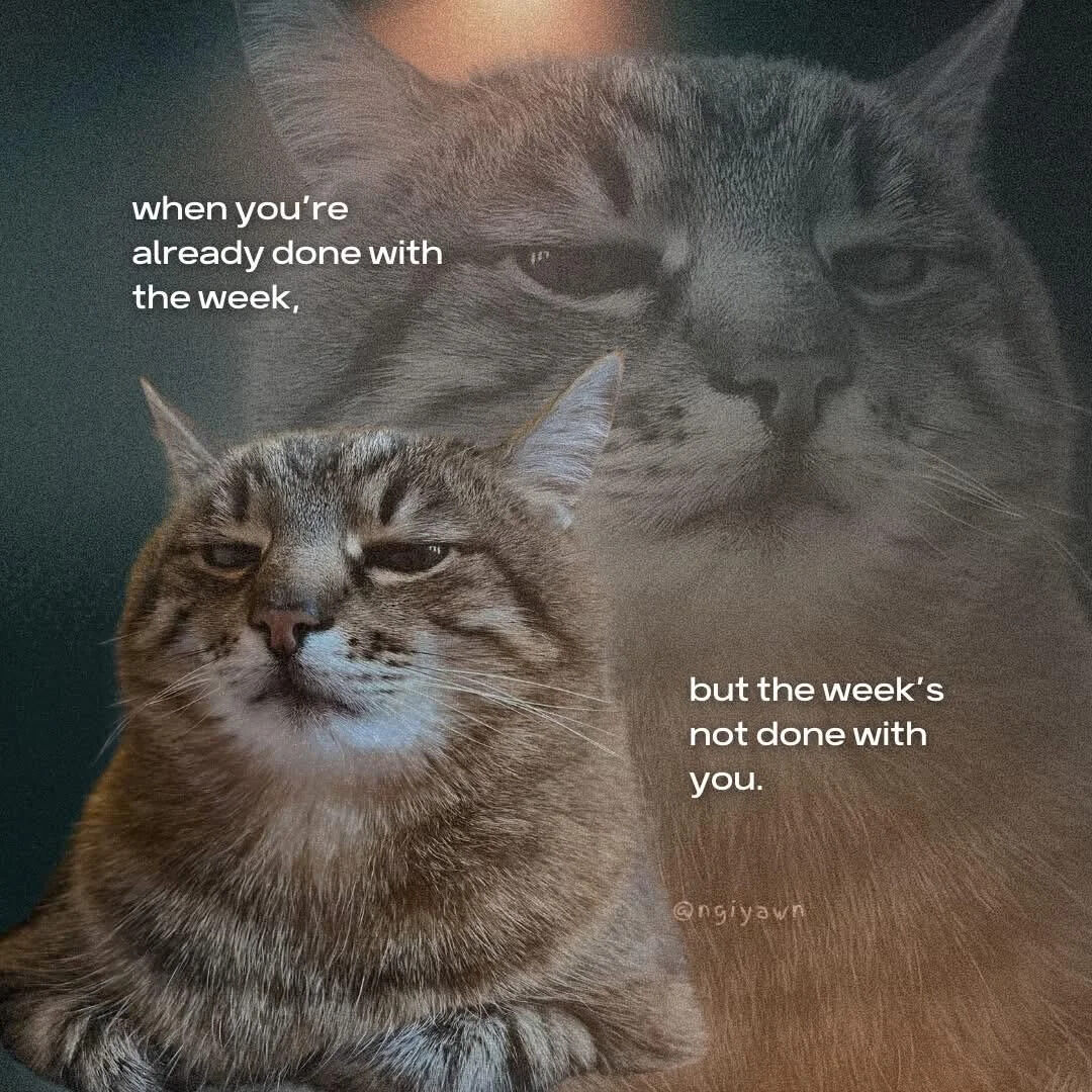 A meme featuring a tired-looking tabby cat with half-closed eyes, expressing exhaustion. The image uses a double exposure effect showing the cat from two angles. Overlaid text reads: 'when you're already done with the week, but the week's not done with you.' This captures the common feeling of mid-week fatigue when someone is mentally exhausted but still has days left in the workweek.