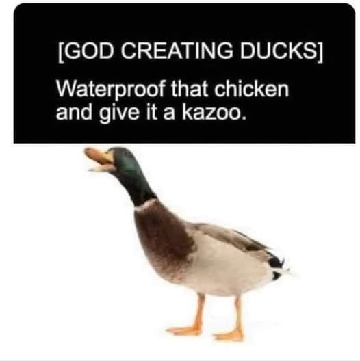 The meme consists of a stock photograph of a duck with a green head, brown chest, and orange beak standing against a plain white background. The duck appears to have a small object in its beak, which the overlaid text humorously identifies as a kazoo. Above the duck, a black text box with white capitalized text reads: '[GOD CREATING DUCKS] Waterproof that chicken and give it a kazoo.' The joke playfully reimagines duck creation as a whimsical divine process, blending the traits of chickens (waterproofing) with a kazoo to explain ducks' quacking sound and aquatic nature.