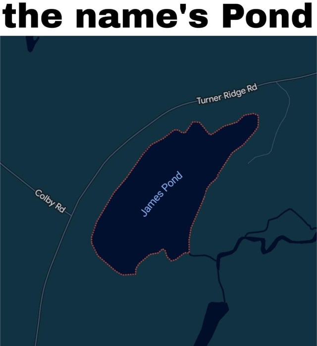 This is a silly pun meme that plays on the iconic James Bond spy franchise catchphrase *"The name's Bond, James Bond"*. The image displays a screenshot of a digital map showing a real named body of water labeled *James Pond*, situated between Colby Rd and Turner Ridge Rd. Large bold text is added at the top of the image reading *"the name's Pond"*, completing the joke by referencing the famous introduction line with the pond's coincidentally matching name.