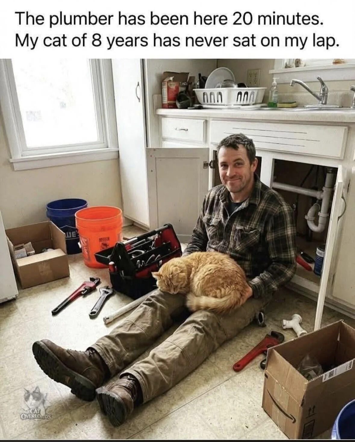 The image depicts a plumber sitting on a kitchen floor under a sink, surrounded by plumbing tools including wrenches, a toolbox, and buckets while working. An orange domestic cat is curled up comfortably, sleeping on his lap. The text at the top reads: "The plumber has been here 20 minutes. My cat of 8 years has never sat on my lap." The humor stems from the relatable, quirky behavior of cats—often showing unexpected affection to strangers over their long-term owners. The plumber wears an amused, slightly smug smile, enhancing the lighthearted, wholesome joke that resonates with pet owners.
