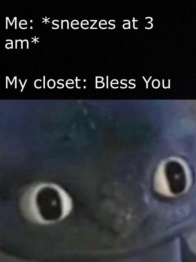 A two-part meme consisting of text and an image. The top text reads: 'Me: *sneezes at 3 am* My closet: Bless You', humorously implying the closet is alive and responds to the sneeze. The lower part is a close-up screenshot of an animated character with large, round eyes (likely Toothless from 'How to Train Your Dragon'), giving a surprised or attentive expression, enhancing the comedic effect of the closet being sentient.