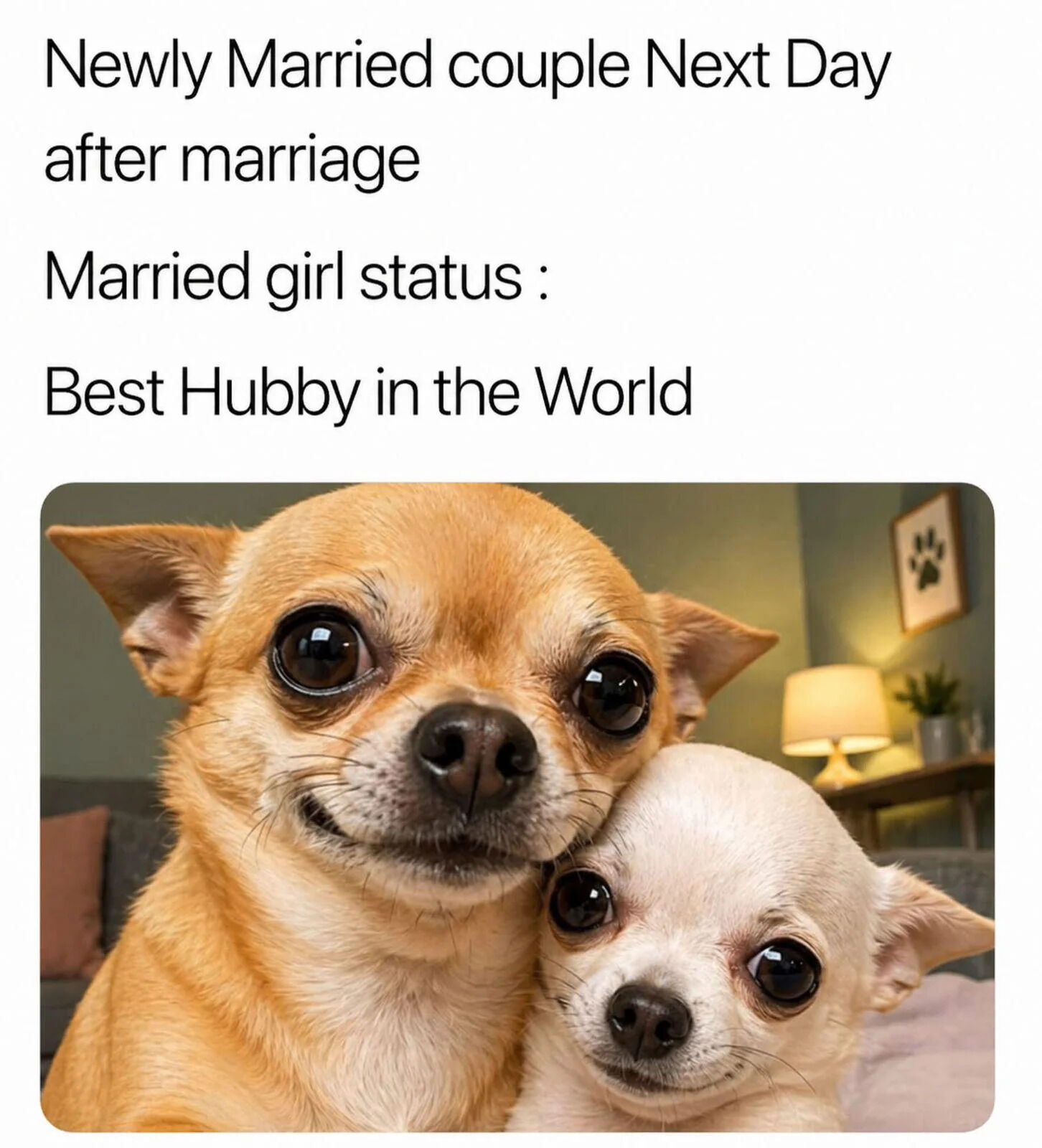 This is a wholesome meme featuring text at the top and a photo below. The top text reads 'Newly Married couple Next Day after marriage, Married girl status : Best Hubby in the World'. The photo shows two adorable chihuahuas cuddling together in a cozy home setting: a larger tan chihuahua rests its head affectionately on a smaller white chihuahua, both have wide, shiny, happy eyes looking directly at the camera. The joke draws a relatable, cute comparison between the loving, happy dynamic of a newly married couple (with the wife gushing about her husband) and the sweet, affectionate demeanor of the cuddling dogs.