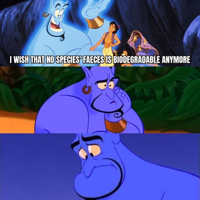 A three-panel meme using scenes from Disney's Aladdin. The first panel shows Aladdin and the Genie in a cave, with text stating Aladdin's absurd wish: 'I WISH THAT NO SPECIES' FAECES IS BIODEGRADABLE ANYMORE'. The second panel is a close-up of the Genie looking concerned, resting his chin in his hand. The third panel is an even closer shot of the Genie with a distressed expression, emphasizing his reaction to the nonsensical and problematic wish.