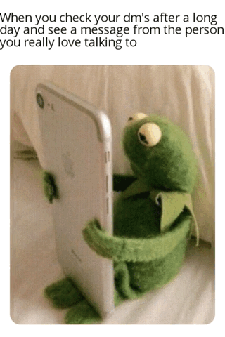 The meme features text at the top that reads "When you check your dm's after a long day and see a message from the person you really love talking to". Below the text is a photo of a Kermit the Frog plush toy holding a white smartphone up close to its face, looking intently at the screen with wide, excited eyes. It humorously conveys the giddy, happy, relatable feeling of receiving a message from someone you enjoy talking to after a tiring day.
