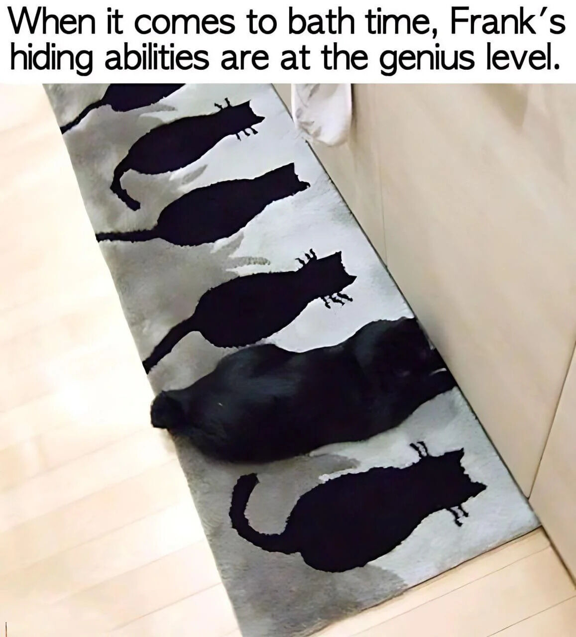 A humorous image showing a black cat named Frank hiding on a rug with black cat silhouettes, perfectly blending in to avoid bath time. The rug features multiple black cat outlines against a light background, creating ideal camouflage for the real black cat lying on it. The text at the top emphasizes Frank's 'genius level' hiding abilities specifically when bath time approaches.