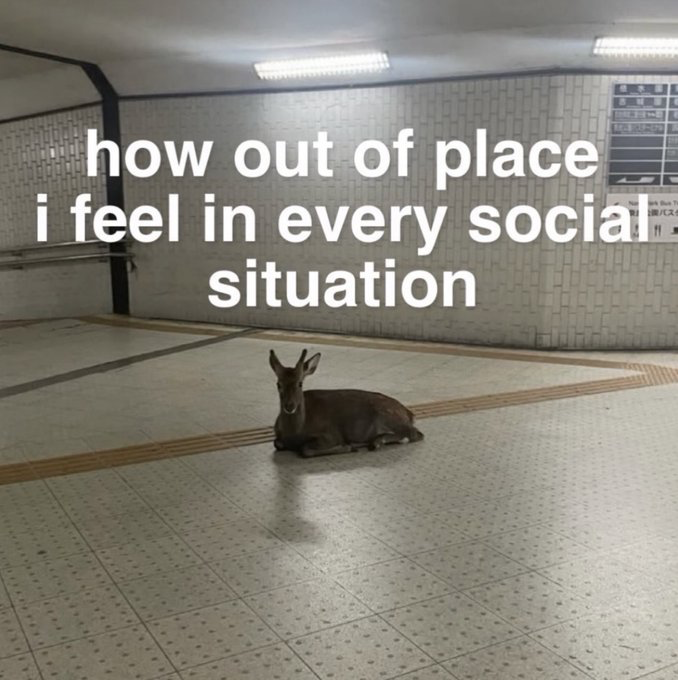 This relatable meme features a candid photograph of a wild deer lying down calmly in the middle of an empty, tiled underground subway or pedestrian tunnel, an environment where wild deer are completely unexpected and out of place. Large, bold white text is overlaid across the upper half of the image, reading 'how out of place i feel in every social situation'. The meme uses the absurd visual of the misplaced deer as a metaphor for the common feeling of awkwardness and not belonging that many people experience during social interactions.