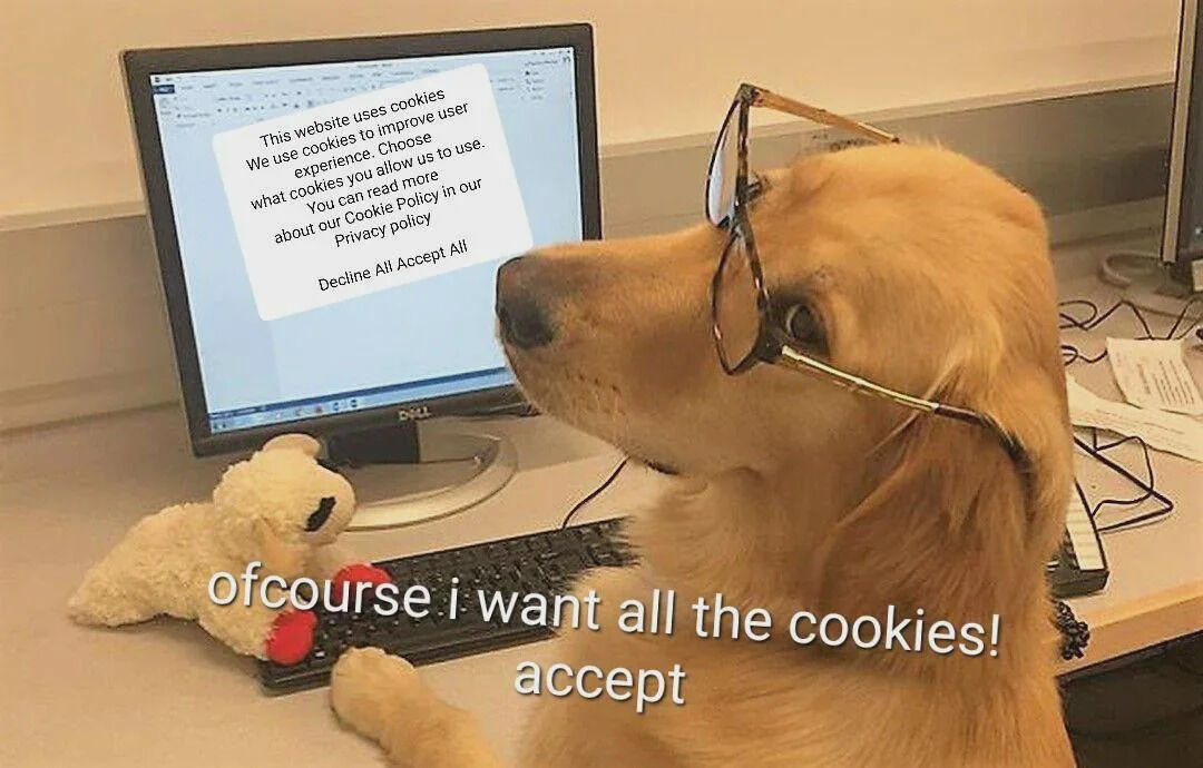 A golden retriever dog wearing glasses sits at a desk, eagerly looking up at a computer monitor. The screen shows a website cookie consent pop-up with text: 'This website uses cookies We use cookies to improve user experience... Decline All Accept All.' Below the dog, meme text humorously states: 'ofcourse i want all the cookies! accept'—a pun on 'cookies' (both website data tracking and dog treats). A small teddy bear rests on the desk next to the keyboard, enhancing the wholesome, lighthearted vibe.