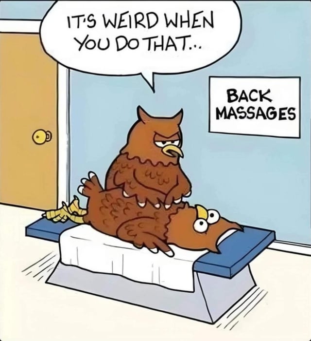 A cartoon illustration featuring two brown owls in a room with a wall sign reading 'BACK MASSAGES'. One owl is positioned face-down on a blue-cushioned massage table, appearing visibly distressed with wide eyes, an open beak, and tense wings. The second owl stands atop its back, delivering a back massage with a stern, frowning expression. The massaging owl has a speech bubble stating, 'IT'S WEIRD WHEN YOU DO THAT...', creating an awkward and humorous dynamic. The scene plays on the pun 'Hooters' (referencing owl hoots) in the original title, blending animal humor with a relatable awkward social situation.