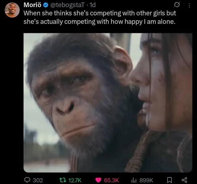 This meme is a screenshot of an X (formerly Twitter) post paired with a film still from the Planet of the Apes reboot franchise. The post text reads "When she thinks she's competing with other girls but she's actually competing with how happy I am alone". The attached image shows a CGI chimpanzee with an unimpressed, disinterested expression glancing sideways next to a serious human woman looking off into the distance. The joke communicates that the poster is so content with being single that any potential romantic partner is not competing with other suitors, but rather with the high level of satisfaction the poster gets from living alone, implying they have no interest in pursuing a relationship.