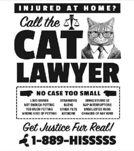 This is a humorous parody advertisement styled after American personal injury lawyer billboards, marketed for pet cats. The ad features a serious-looking tabby cat drawn as a professional lawyer wearing glasses, a suit, and a tie, alongside a cat-shaped icon of the scales of justice. It promotes legal services for cats who have grievances at home, listing common cat issues such as "not enough petting", "too much petting", "wrong kind of petting", baths, other pets, nap interruptions, and any kind of change. It includes wordplay puns: the tagline "Get Justice Fur Real!" (a pun on "for real", using "fur" to reference cat fur), and a fake phone number 1-889-HISSSSS, which references the hissing sound angry cats make. The joke plays on the well-known idea of cats getting upset over small everyday interactions and changes, turning that into a silly pet-themed take on lawyer advertising.