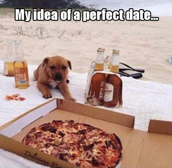 This meme features a cute brown pit bull puppy lying on a white towel on a sandy beach, with a half-eaten pizza in an open box in the foreground, plus several bottles of beer (some in a six-pack carrier, some opened) nearby. The top text reads "My idea of a perfect date...", subverting the common expectation of a romantic date with another person. Instead, it frames a low-key, cozy, pet-focused moment as the ideal date: relaxing on the beach with a beloved dog, favorite comfort food (pizza), drinks, and no pressure. The joke is relatable for people who prefer quiet, animal-centric, low-stakes activities over traditional romantic dating scenarios, highlighting the joy of simple, comforting moments with a furry companion.