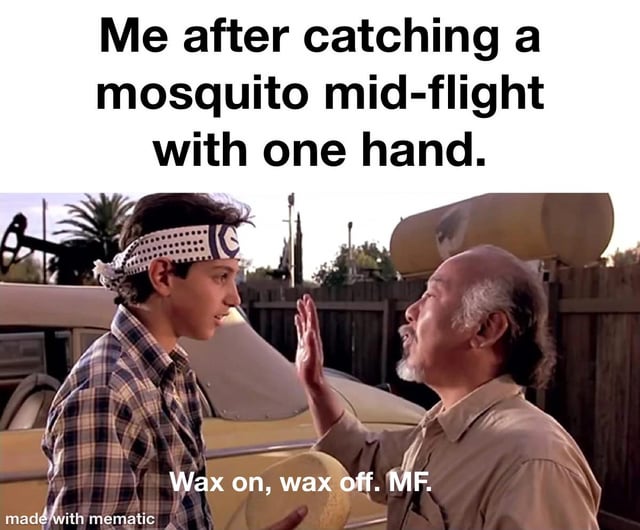 This is a single panel meme that repurposes a famous scene from the 1984 live-action film *The Karate Kid*. The overlaid text at the top of the image reads 'Me after catching a mosquito mid-flight with one hand.' The lower overlaid text, assigned to the character Mr. Miyagi in the scene, is a modified version of his iconic line, reading 'Wax on, wax off. MF.' The comedic effect comes from drawing a parallel between the surprisingly impressive mundane feat of catching a flying mosquito with one hand and the rigorous, skill-building 'wax on, wax off' karate training Mr. Miyagi teaches the protagonist Daniel LaRusso, framing the small everyday win as a major, earned achievement that feels as satisfying as mastering a karate skill.