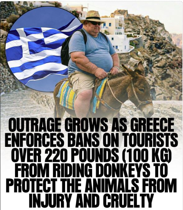 This meme displays an overweight tourist riding a donkey along the stone steps of a cliffside Greek town (likely Santorini), paired with the Greek flag in a circle on the left. The large text overlay at the bottom reports that Greece has implemented a ban on tourists weighing over 220 pounds (100kg) riding donkeys, to protect the animals from injury and cruelty. The meme's context 'Sad US citizen noise' makes a humorous implication that many overweight American tourists would be unable to enjoy this popular tourist activity, poking fun at the higher average body weight of US citizens.