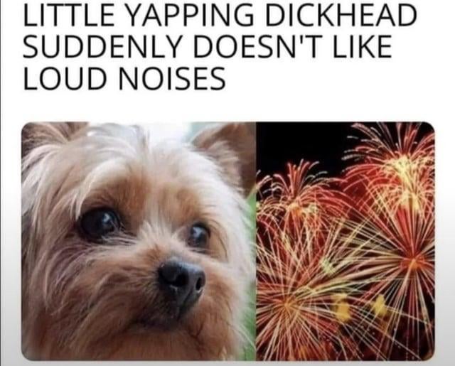 This meme features a top text caption above a side-by-side image collage. The caption reads 'LITTLE YAPPING DICKHEAD SUDDENLY DOESN'T LIKE LOUD NOISES'. The left half of the collage is a close-up photograph of a small brown terrier dog with wide, concerned eyes. The right half shows a display of bright, exploding fireworks against a dark background. The humor comes from situational irony: small dog breeds are stereotyped as frequently and loudly yapping at minor, insignificant triggers, but they are easily frightened by loud, sudden noises like fireworks, creating a funny hypocritical contrast.