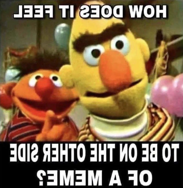 This meta meme features Sesame Street puppet characters Bert and Ernie looking directly at the viewer. All overlaid text is mirrored/reversed, as if it is written to be legible from the perspective of the two puppets rather than the person viewing the image. The text, when flipped, reads 'HOW DOES IT FEEL' at the top, and 'TO BE ON THE OTHER SIDE OF A MEME?' at the bottom. The joke plays on flipping the usual viewer-meme dynamic, implying that Bert and Ernie are looking at *you* as the meme, which aligns with the original title 'You are the meme'. Bert has a wide-eyed, neutral to slightly intense expression, while Ernie smiles cheerfully behind him, with party balloons visible in the background of the original Sesame Street scene.