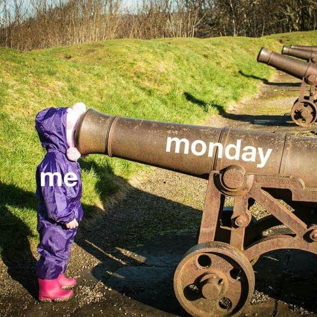 This meme uses a candid photograph to create a relatable humorous metaphor. A small child wearing a purple waterproof snowsuit, pink fuzzy earmuffs, and bright pink rain boots is standing with their entire face pressed inside the muzzle of a large, rusted antique cannon. The child is labeled with the text 'me', while the cannon barrel is labeled with the text 'monday'. The background shows a sloped grassy hill, bare deciduous trees, and more antique cannons lined up further away. The visual represents the common feeling of being aggressively hit and overwhelmed by the start of the work or school week on Monday.