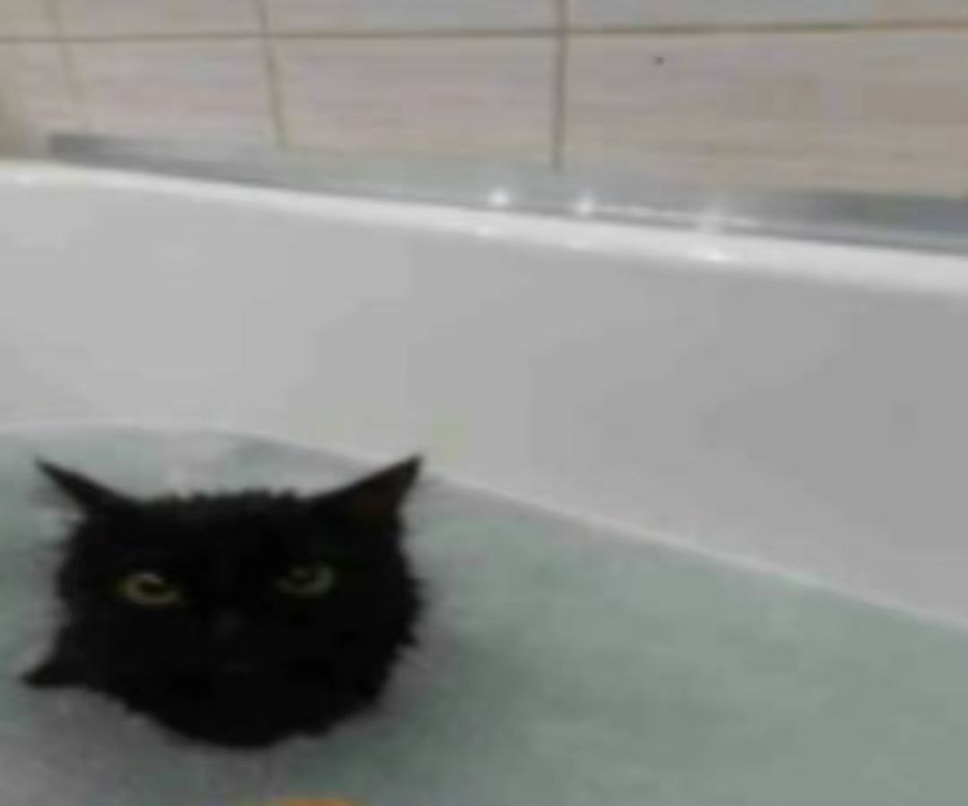 A photograph of a black cat with only its head above the water in a white bathtub. The cat has wide, intense green eyes and appears to be looking directly at the camera. The background features a tiled wall, typical of a bathroom setting. The cat's fur is wet, sticking close to its head, emphasizing its alert expression. The scene is humorous and endearing, playing on the common trope of cats disliking water, though this cat's calm yet intense demeanor adds a comedic contrast.
