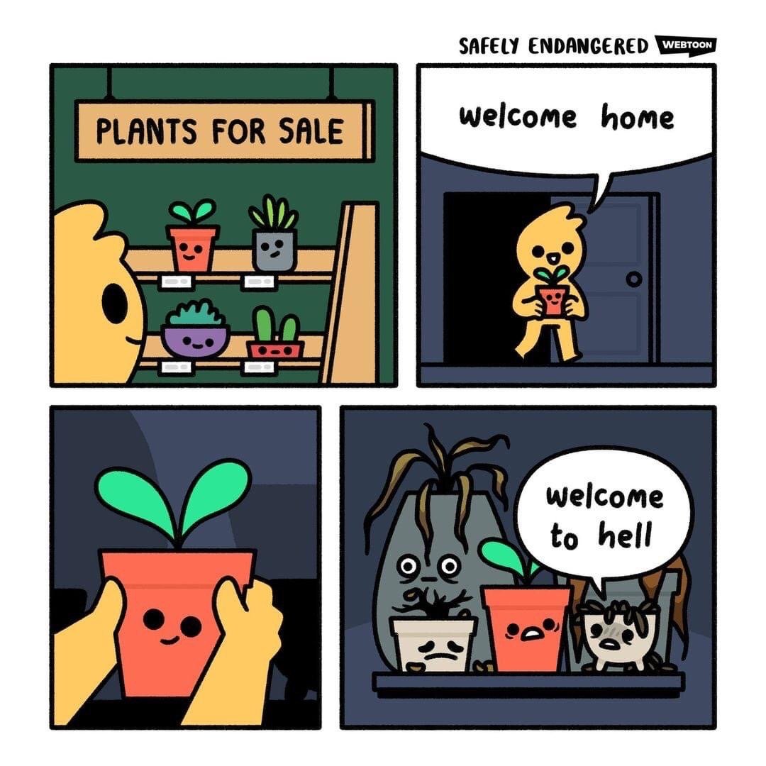 This is a 4-panel digital comic. Panel 1: A yellow blob-like cartoon character browses a plant shop with a 'PLANTS FOR SALE' sign, looking at cheerful, smiling anthropomorphic potted plants on shelves. Panel 2: The character carries a small happy red potted plant with two green leaves through their front door, saying 'welcome home' to the plant. Panel 3: Close-up shot of the still cheerful new potted plant being held by the character as they prepare to set it down. Panel 4: The new plant is placed on a shelf full of other neglected, wilting, dying and miserable anthropomorphic plants, one of which greets the new plant with the line 'welcome to hell'. The joke is relatable to people who consistently fail at keeping houseplants alive, despite good intentions when purchasing them.