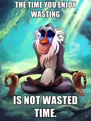 This meme features the wise mandrill character Rafiki from Disney's *The Lion King* sitting cross-legged in a calm meditative pose, holding traditional meditation mudra hand gestures, set against a hazy teal background with beams of soft light shining down from above. Bold white uppercase text is overlaid at the top and bottom of the image, reading: 'THE TIME YOU ENJOY WASTING' on the top, and 'IS NOT WASTED TIME.' on the bottom. The meme communicates a reassuring, wholesome message that leisure time spent doing enjoyable, seemingly unproductive activities is still valuable and should not be considered wasted.