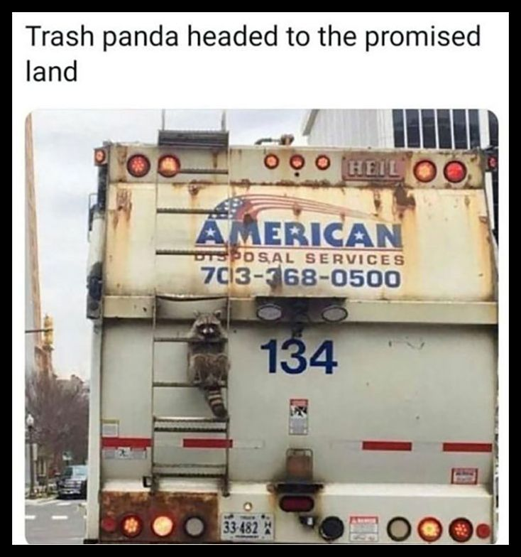 This wholesome meme features a real photograph of a raccoon (commonly nicknamed 'trash panda' in internet slang) sitting on the rear access ladder of a waste disposal garbage truck. The text caption at the top jokes that the raccoon is 'headed to the promised land', which refers to the garbage dump/landfill — a location that is ideal for a raccoon that forages through trash, creating a cute, lighthearted joke. The back of the truck clearly displays branding for American Disposal Services, a waste management company.
