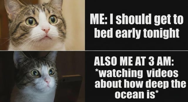 A two-panel meme featuring a real cat with wide, alert eyes. The top panel shows the cat in a well-lit setting with the text 'ME: I should get to bed early tonight,' conveying an intention to sleep. The bottom panel shows the same cat in a darker environment (suggesting night) with the text 'ALSO ME AT 3 AM: *watching videos about how deep the ocean is*,' humorously depicting the common experience of abandoning sleep plans for random, niche late-night content. The cat's consistent wide-eyed expression emphasizes the relatable contrast between good intentions and late-night distractions.