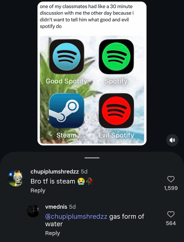 This is a screenshot of a social media post featuring a two-layered joke. The top of the post has text explaining the poster had a 30 minute discussion with a classmate who did not understand the 'good and evil Spotify' meme trend, followed by a 2x2 grid of app icons: top left is a light blue edited Spotify icon labeled 'Good Spotify', top right is the standard green Spotify icon labeled 'Spotify', bottom left is the official Steam gaming platform app icon labeled 'Steam', and bottom right is a red edited Spotify icon labeled 'Evil Spotify'. Below the main post, two comments add an extra pun layer: the first comment asks 'Bro tf is steam' with crying and wilted rose emojis, and the reply jokes that steam is 'gas form of water', playing on the homophone between the Steam platform name and water vapor.