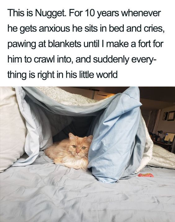 The wholesome meme has two sections: upper text explaining the backstory of a cat named Nugget, and a lower photograph of the cat. The text shares that over 10 years, whenever Nugget feels anxious, he sits on the bed crying and pawing at blankets until his owner builds a blanket fort for him to crawl into, which immediately calms him and makes him feel safe. The photo shows the fluffy light orange cat lying comfortably inside the homemade blanket fort on a bed, looking calm and content as he faces the viewer.