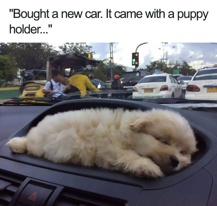 This is a cute wholesome meme showing the view from inside a car stopped at a traffic intersection. A fluffy young light-colored puppy is sleeping snuggled perfectly into the recessed dashboard compartment that is normally a cup holder, fitting exactly into the space. A text pun at the top plays on the term 'cup holder', replacing it with 'puppy holder' since the puppy is perfectly filling the spot. The background shows other vehicles and motorcyclists stopped at the red light outside the windshield.