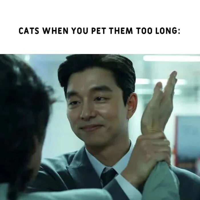 A meme featuring a screenshot from a Korean drama, where a man in a suit smiles while gently pushing another person's hand away. The top text overlay reads 'CATS WHEN YOU PET THEM TOO LONG:', humorously comparing a cat's behavior of politely rejecting prolonged petting to the man's gesture of gentle refusal.