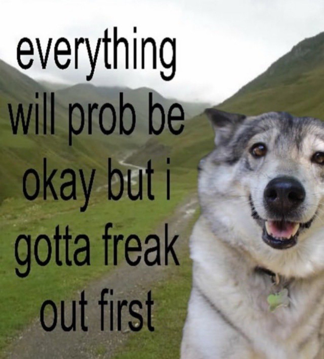 The image features a smiling gray and white Alaskan Malamute or Husky dog positioned on the right side, facing the camera with a relaxed, happy open-mouthed expression. The background is a scenic view of green rolling mountain valleys with a dirt path running through the center, under a cloudy overcast sky. Large black sans-serif text is overlaid on the left half of the image, reading: 'everything will prob be okay but i gotta freak out first'. The meme conveys a highly relatable feeling of logically understanding that a stressful situation will eventually resolve positively, but feeling the need to have an emotional outburst or panic first before calming down.