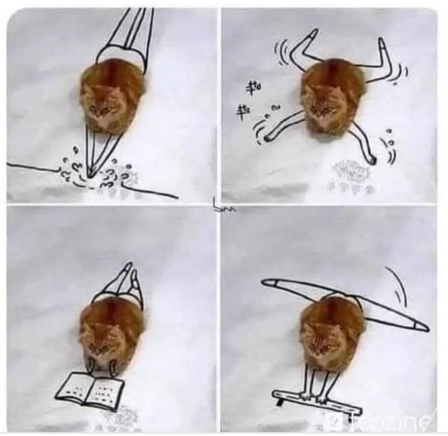 A four-panel comic featuring a real orange cat's head pasted onto hand-drawn bodies, creating a humorous contrast. The first panel shows the cat with a drawn body leaning over a faucet, drinking water with splashes around. The second panel depicts the cat performing a flip with motion lines and Chinese characters '啦啦' (la la, an onomatopoeia for cheerfulness). The third panel shows the cat standing upright with a drawn body, reading an open book. The fourth panel features the cat balancing on a drawn balance beam with arms outstretched. The art style combines real photography with simple black line drawings, emphasizing playful and acrobatic activities of the cat.