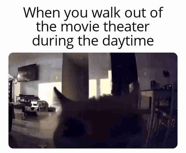 This animated meme humorously captures the universal experience of walking out of a dark movie theater into bright daytime sunlight. The animation starts in a dark room, showing a cat walking toward a bright doorway leading outside. The entire screen immediately becomes overwhelmingly bright white, mimicking the disorienting temporary blindness you get when suddenly hit with intense light after being in darkness, just like the effect of a flashbang grenade. Slowly, the cat's silhouette becomes clearer as the viewer's eyes adjust to the light, until the cat is fully visible staring forward after the initial shock of the bright light fades. The entire animation is themed around the relatable scenario described in the repeated on-image text.