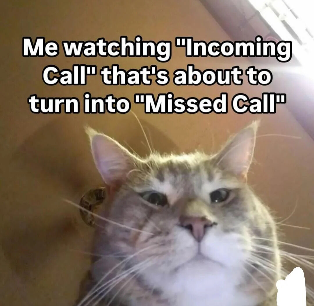 This is a relatable meme featuring a close-up, selfie-style shot of a grey and white tabby cat, staring directly at the camera with a blank, awkward, anxious expression. The overlaid text describes the common experience of watching an incoming phone call ring, not answering it, and waiting for it to turn into a missed call, which resonates with people who experience phone anxiety or social anxiety around unscheduled calls.