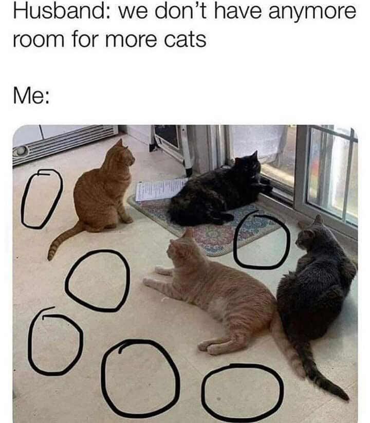 This wholesome meme humorously captures the mindset of a dedicated cat lover. The top text features a spouse saying, "we don't have anymore room for more cats", while the accompanying image shows four relaxed cats on a tiled floor with several empty black circles drawn around them. These circles frame the unoccupied floor spaces as available spots for additional cats, playfully contradicting the spouse's statement. It resonates with pet owners who always find space for one more furry friend.